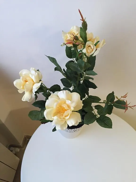 La Pennichella B&B Roma Bed & Breakfast